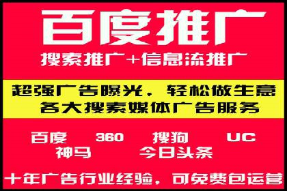 行业专家解析SEM代运营成功案例